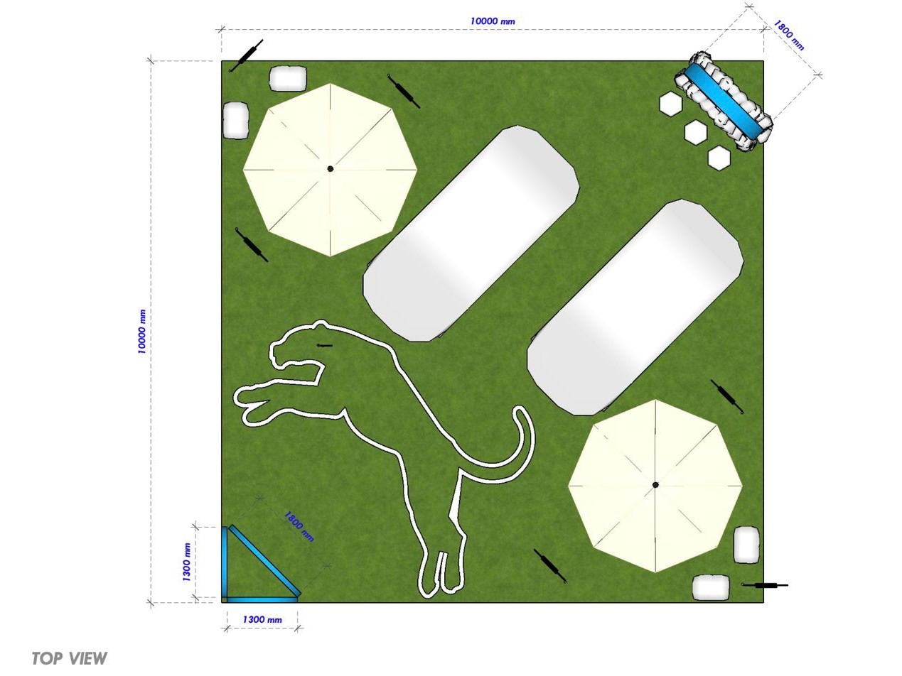 Lepas activation visual overview