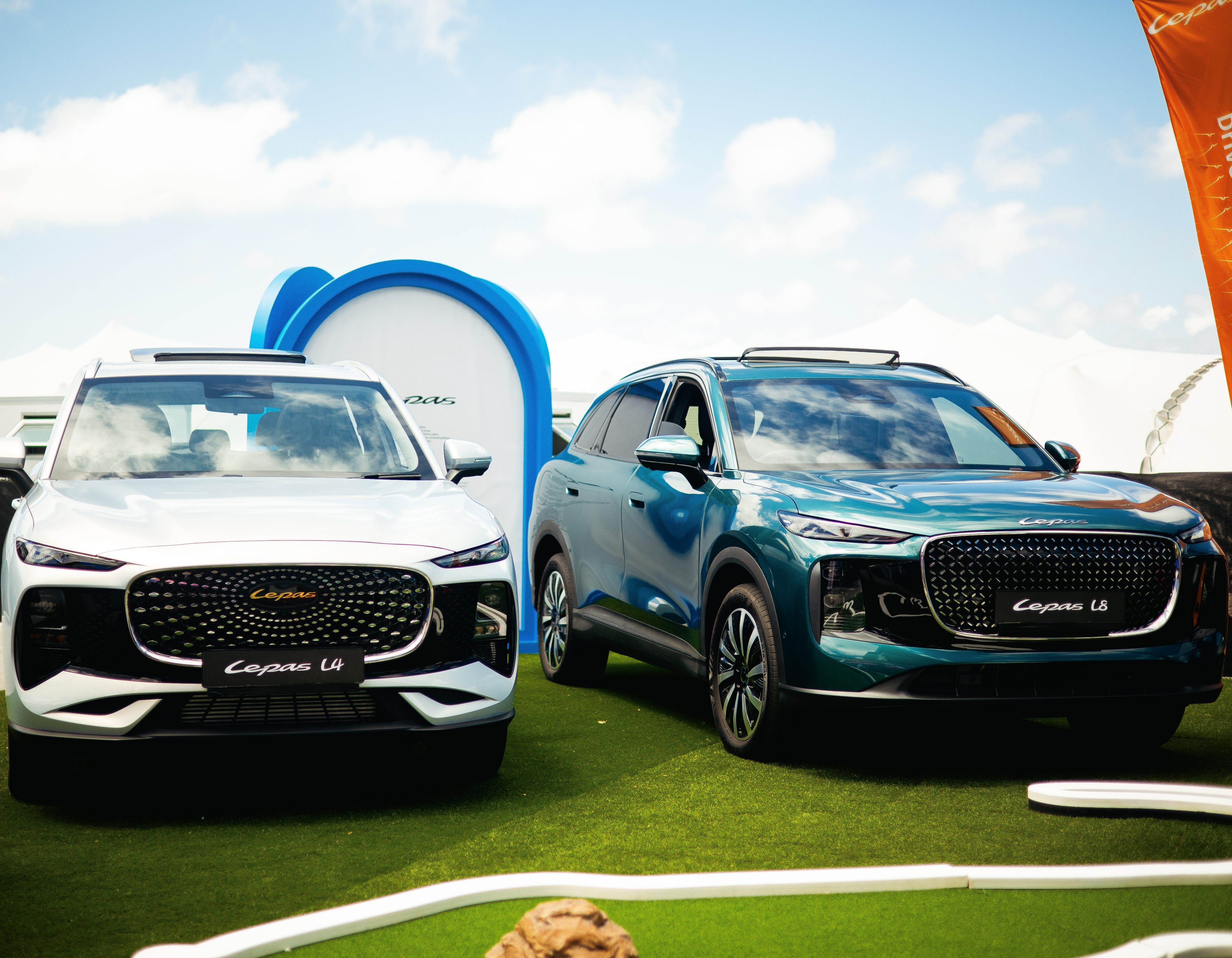 Website development preview